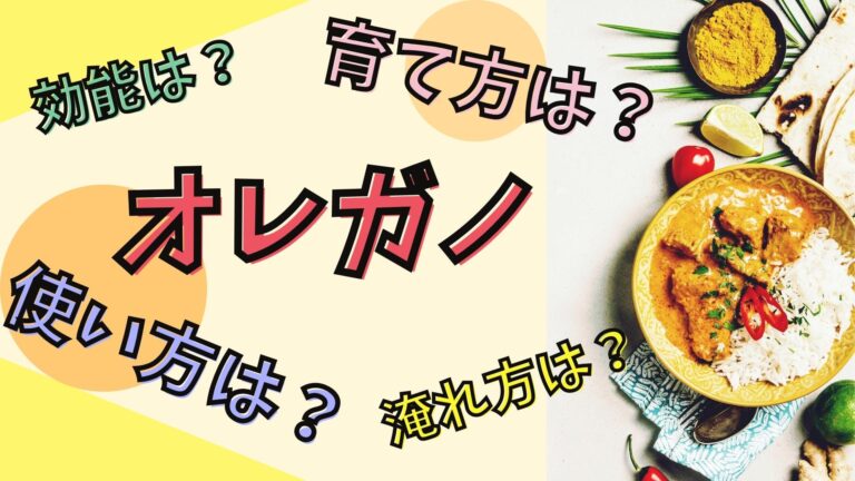 9周年記念イベントが エスビー食品 セレクト オレガノ パウダー L缶250g Materialworldblog Com