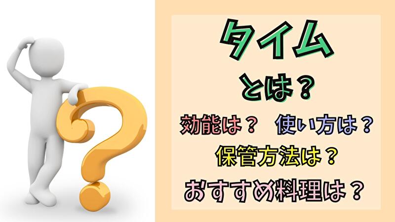 タイムの効能は風邪緩和 スパイス以外でさらに効果ありの使い方とは